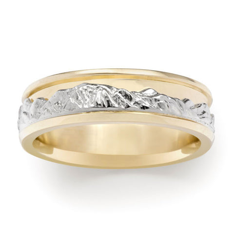 Gold and Silver Ring